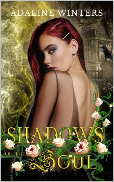 Shadows of the Soul: Cora Roberts Book 2 by Adaline Winters