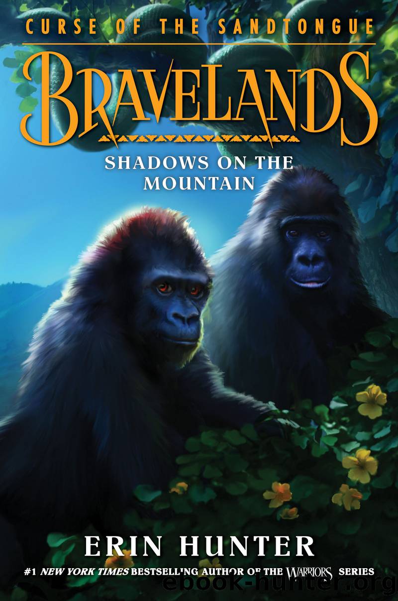 Shadows on the Mountain by Erin Hunter