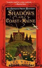 Shadows on the coast of Maine : an antique print mystery by Wait Lea