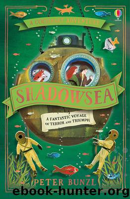 Shadowsea by Peter Bunzl