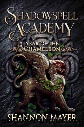 Shadowspell Academy: Year of the Chameleon: (Book 6) by Shannon Mayer