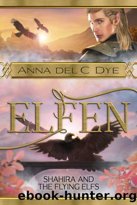 Shahira & the Flying Elfs by Anna del C. Dye