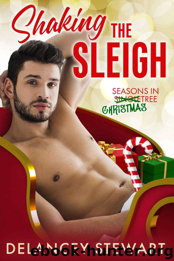 Shaking the Sleigh: Seasons in Singletree by Stewart Delancey