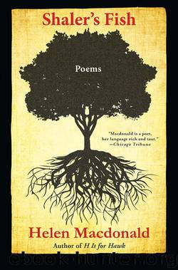 Shaler's Fish by Helen Macdonald