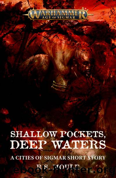 Shallow Pockets, Deep Waters by R.S. Moule