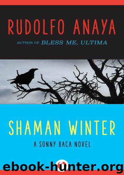 Shaman Winter by Rudolfo Anaya