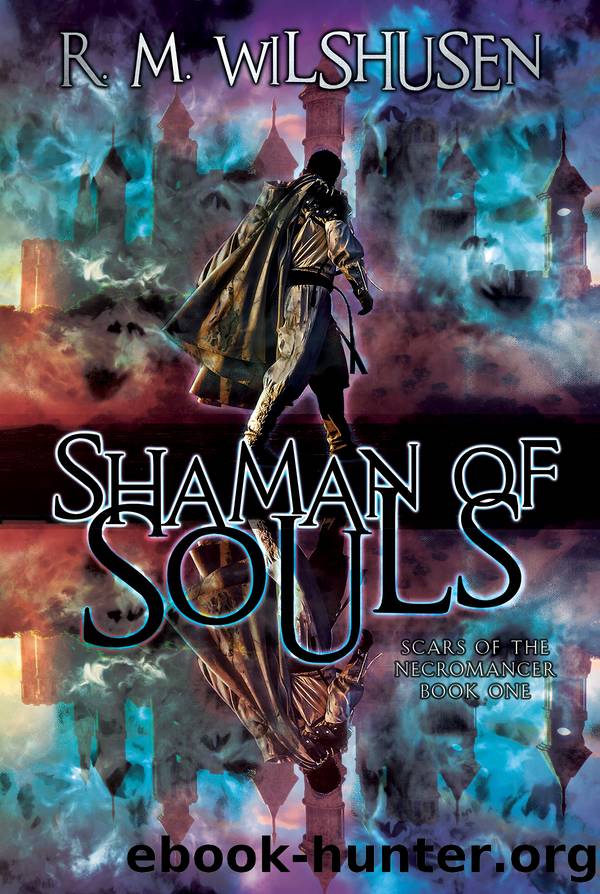 Shaman of Souls by R.M. Wilshusen