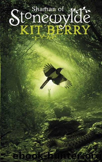 Shaman of Stonewylde by Kit Berry