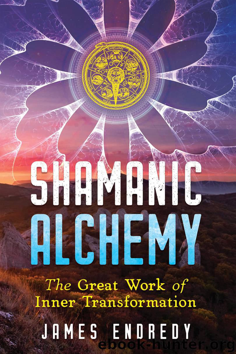 Shamanic Alchemy by James Endredy