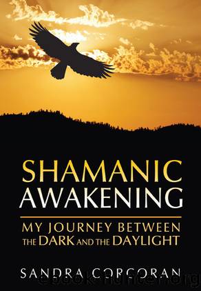 Shamanic Awakening by Sandra Corcoran