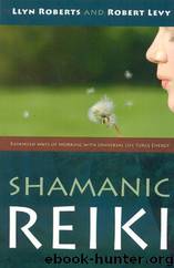 Shamanic Reiki: Expanded Ways Of Working by Llyn Roberts & Robert Levy