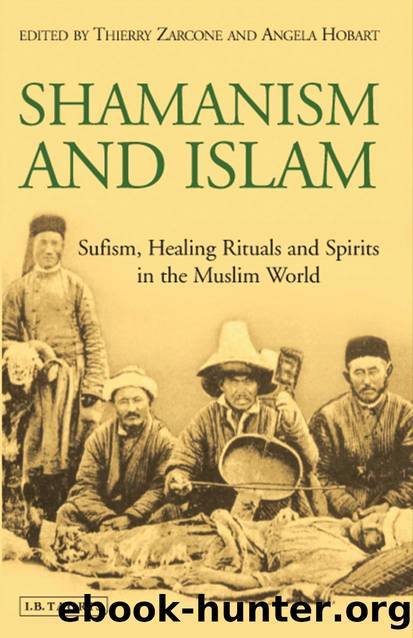 Shamanism and Islam: Sufism, Healing Rituals and Spirits in the Muslim World by Thierry Zarcone