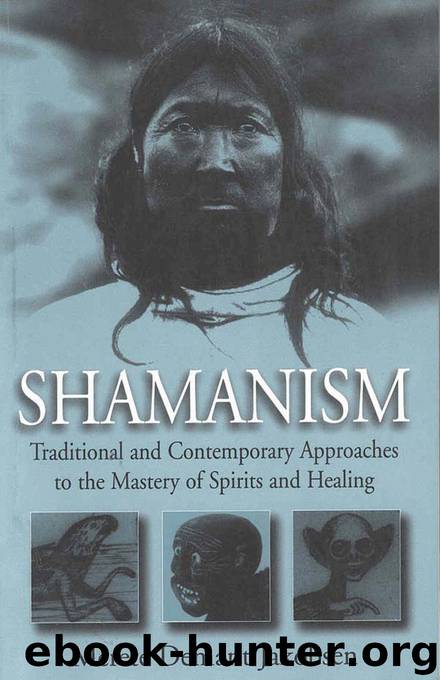 Shamanism by Merete Demant Jakobsen