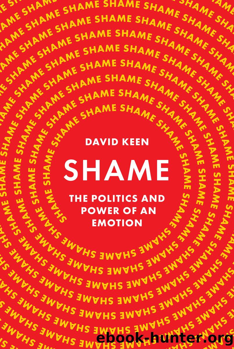 Shame by David Keen
