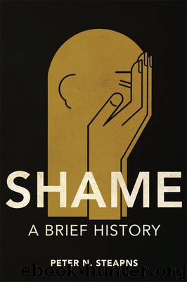 Shame by Peter N. Stearns