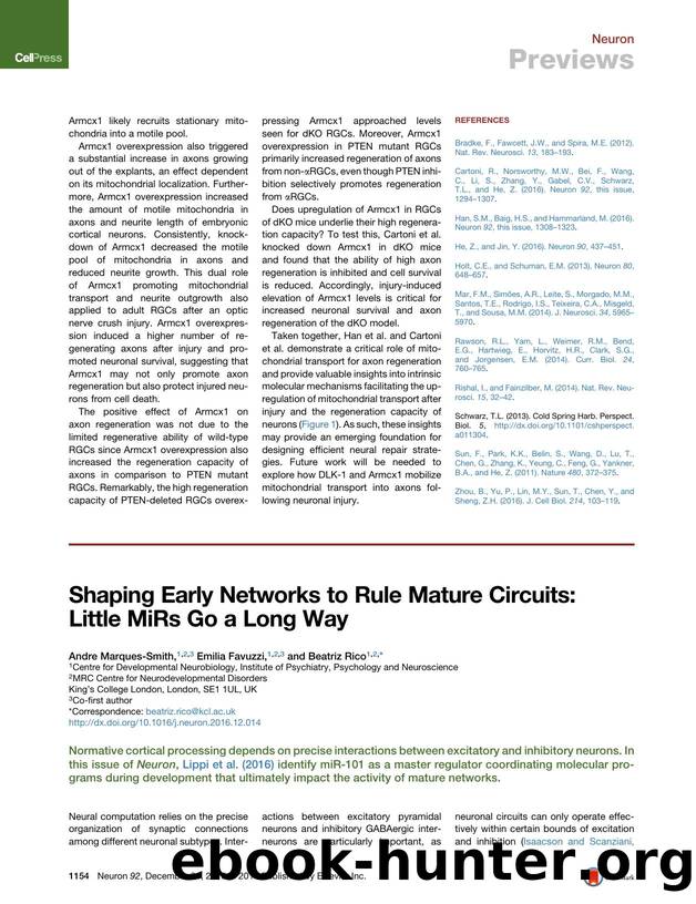 Shaping Early Networks to Rule Mature Circuits: Little MiRs Go a Long Way by Andre Marques-Smith & Emilia Favuzzi & Beatriz Rico