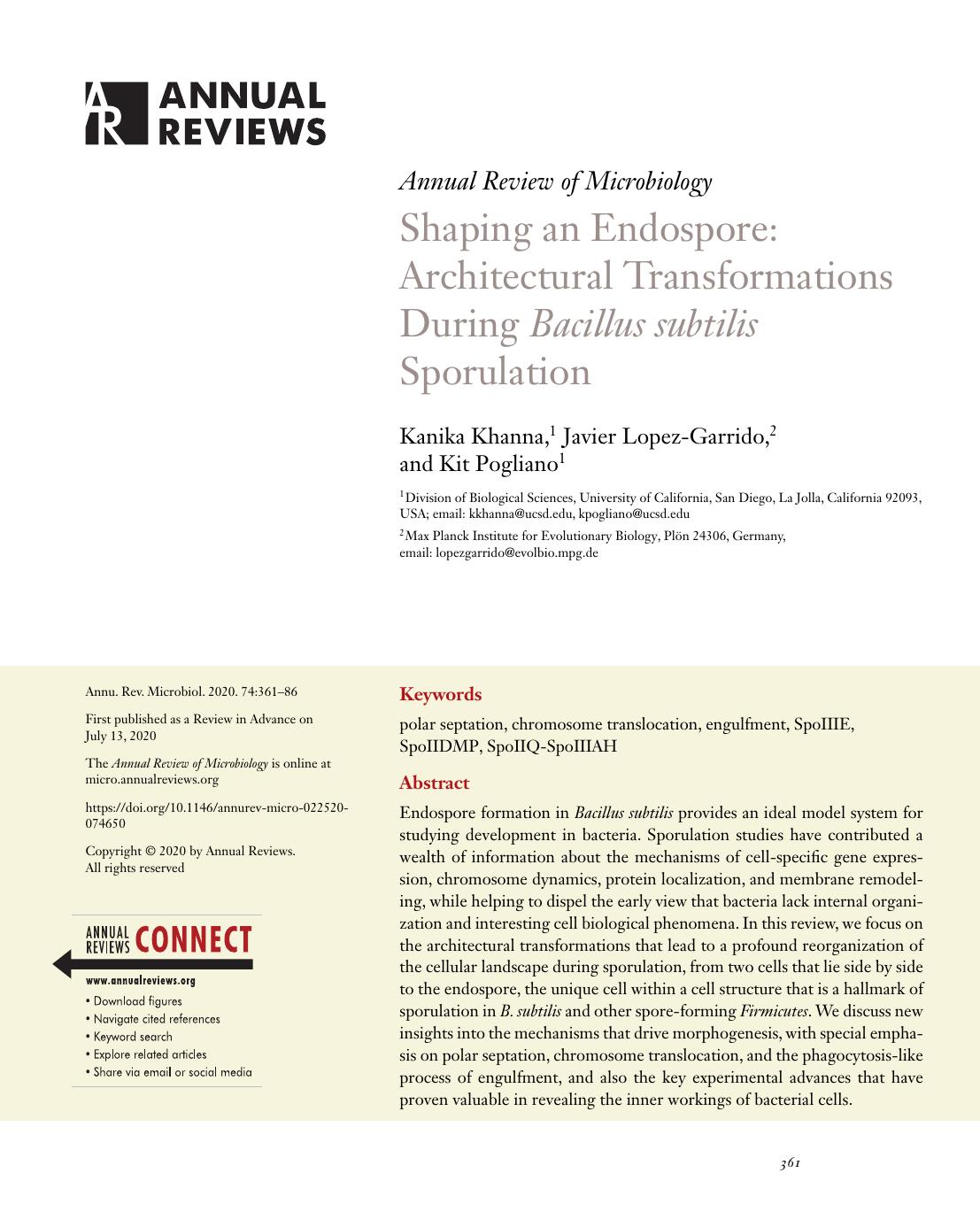 Shaping an Endospore: Architectural Transformations During Bacillus subtilis Sporulation by Kanika Khanna Javier Lopez-Garrido Kit Pogliano