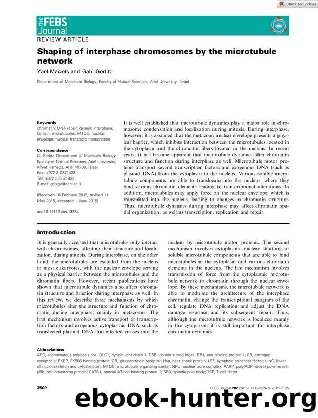Shaping of interphase chromosomes by the microtubule network by Unknown
