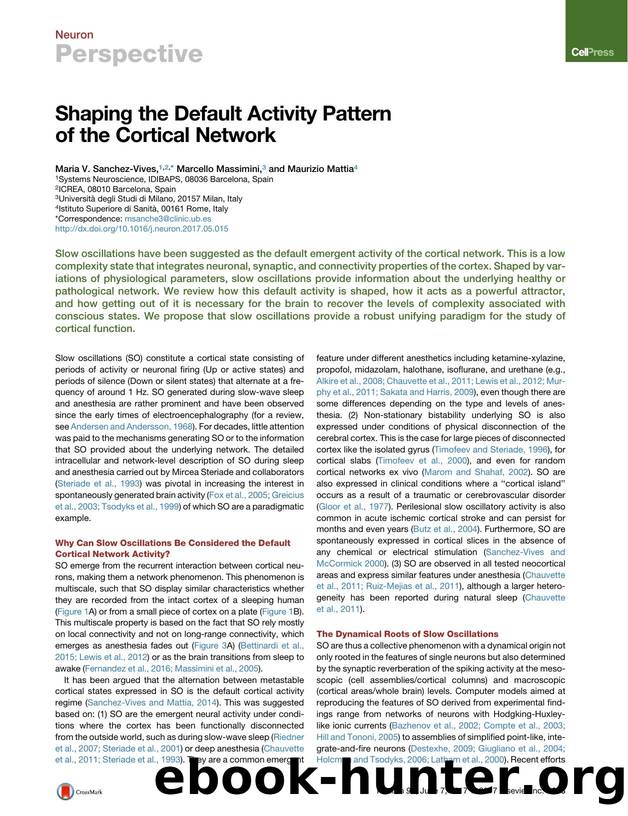 Shaping the Default Activity Pattern of the Cortical Network by Maria V. Sanchez-Vives & Marcello Massimini & Maurizio Mattia
