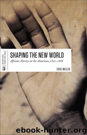 Shaping the New World by Eric Nellis