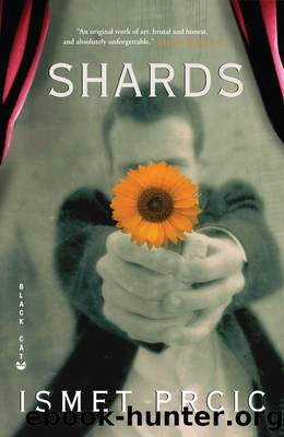Shards by Ismet Prcic