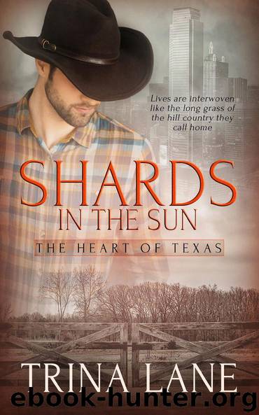 Shards in the Sun by Trina Lane