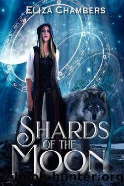 Shards of the Moon by Eliza Chambers
