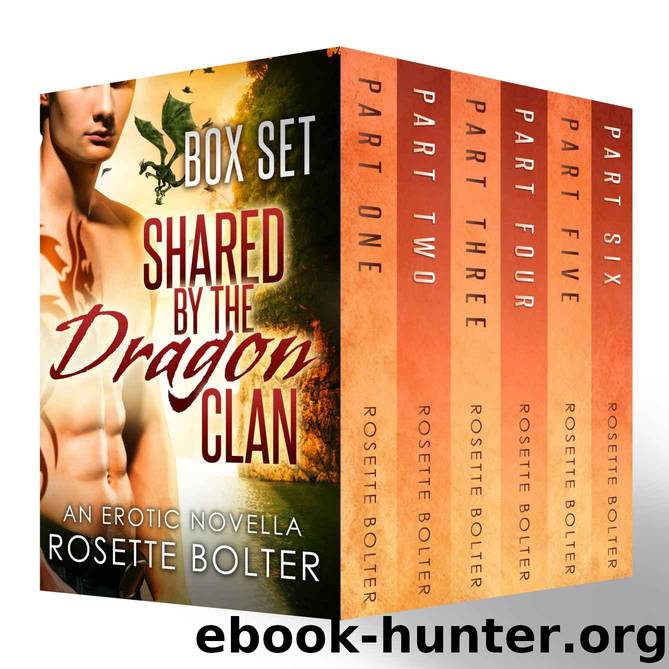 Shared By The Dragon Clan: The Complete Set by Bolter Rosette