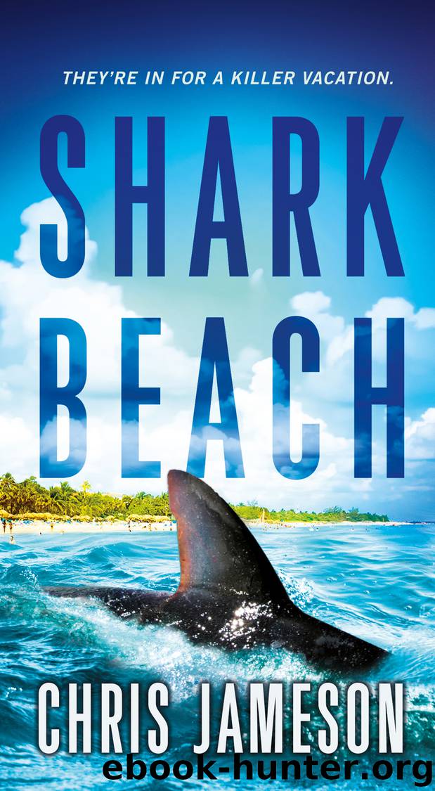 Shark Beach by Chris Jameson
