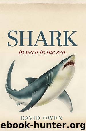 Shark by David Owen