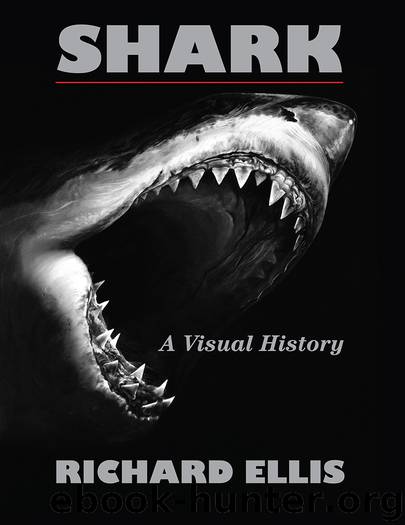 Shark by Richard Ellis