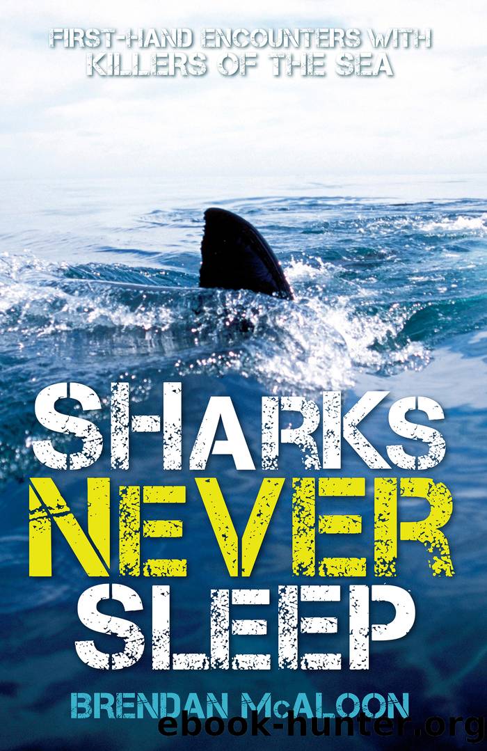 Sharks Never Sleep by Brendan McAloon