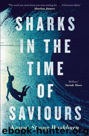 Sharks in the Time of Saviours by Kawai Strong Washburn