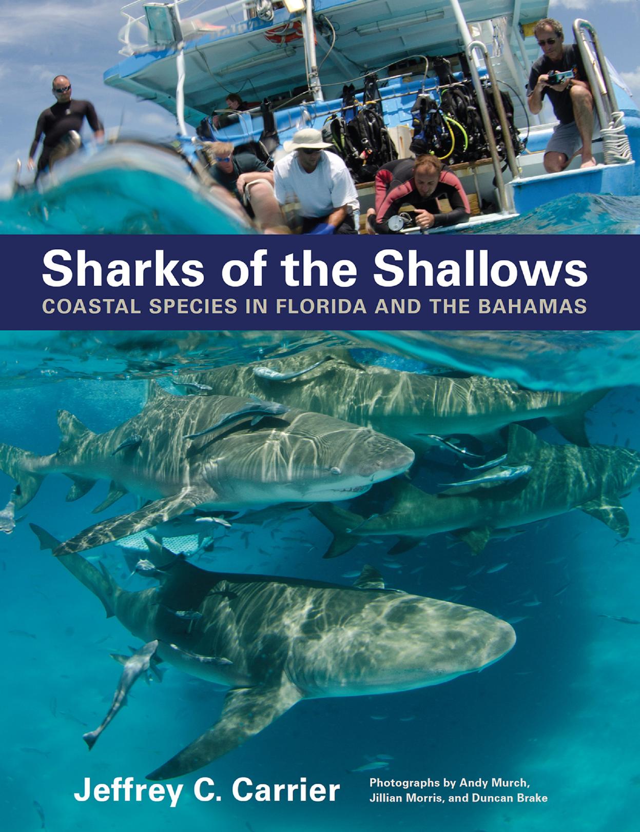 Sharks of the Shallows: Coastal Species in Florida and the Bahamas by Jeffrey C. Carrier photographs by Andy Murch Jillian Morris & Duncan Brake
