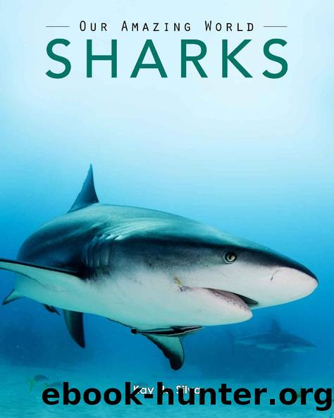 Sharks: Amazing Pictures & Fun Facts on Animals in Nature (Our Amazing World Series Book 5) by Kay de Silva