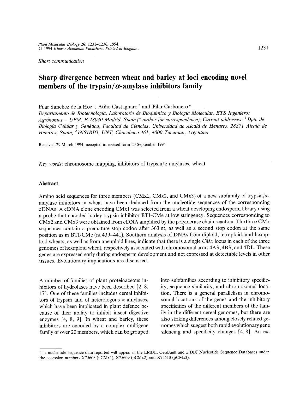 Sharp divergence between wheat and barley at loci encoding novel members of the trypsinα-amylase inhibitors family by Unknown