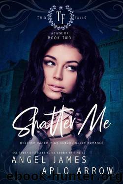 Shatter Me: A Reverse Harem High School Bully Romance (Twin Falls Academy Book 2) by Arlo Arrow & Angel James