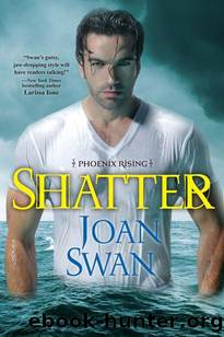 Shatter by Joan Swan