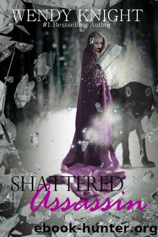 Shattered Assassin by Knight Wendy