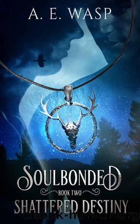 Shattered Destiny (Soulbonded Book 2) by A. E. Wasp