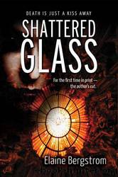 Shattered Glass by Elaine Bergstrom