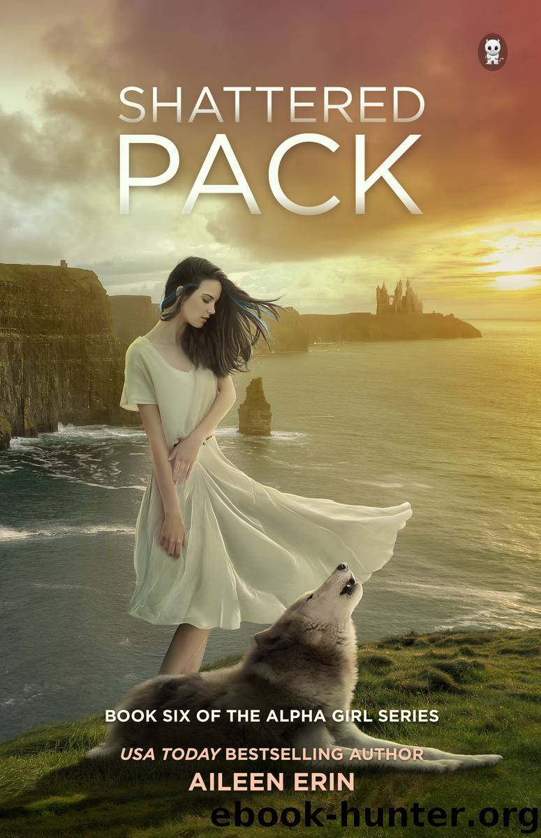 Shattered Pack by Erin Aileen;