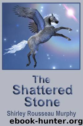 Shattered Stone by Murphy Shirley Rousseau