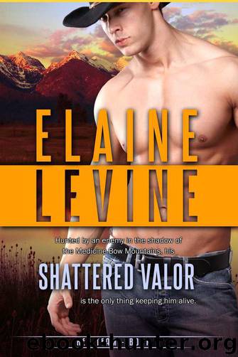 Shattered Valor by Elaine Levine
