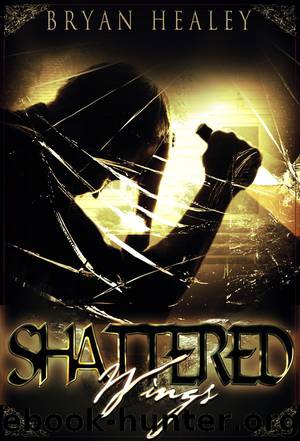 Shattered Wings by Healey Bryan