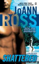 Shattered by Joann Ross
