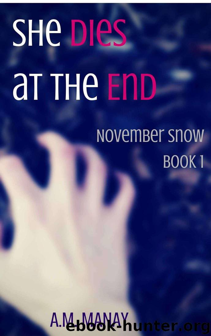 She Dies at the End (November Snow Book 1) by A.M. Manay