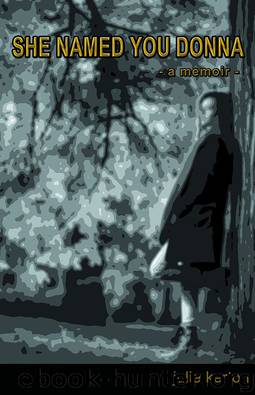 She Named You Donna - a memoir - by Julie Kerton