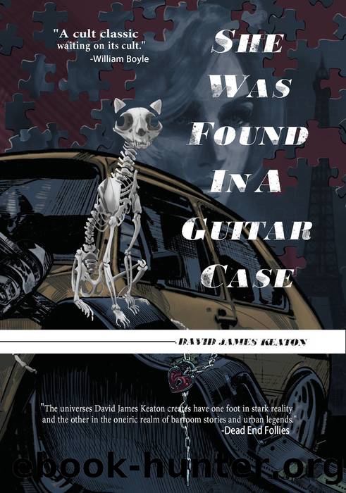 She Was Found in a Guitar Case by David James Keaton