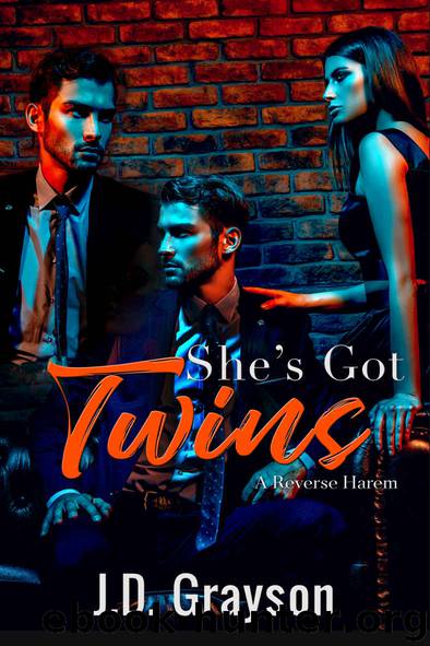 She's Got Twins: A Reverse Harem by J.D. Grayson